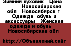 Зимний пуховик › Цена ­ 2 500 - Новосибирская обл., Новосибирск г. Одежда, обувь и аксессуары » Женская одежда и обувь   . Новосибирская обл.